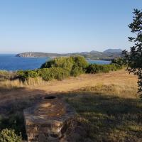 04 07 2018 Breakfast Walk
