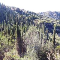 11 07 2018 Breakfastwalk Methoni A01