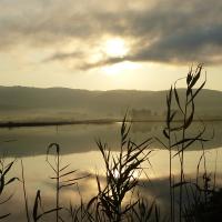 01 08 2018 Earlybird Divari Lagoon C2