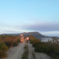 01 08 2018 Earlybird Divari Lagoon C3
