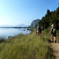 01 08 2018 Earlybird Divari Lagoon F1