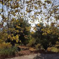 Img 20180906 Wa0023