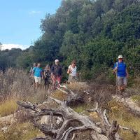 Img 20180913 Wa0009
