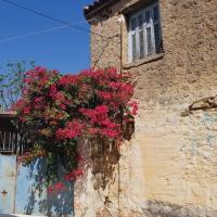 15 09 2018 Evangelismos Ripena 2