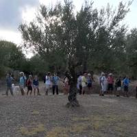 19 09 2018 Walk From Akritochoti 1