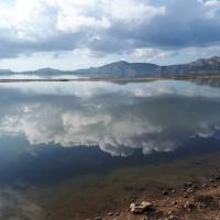 27 10 2018 Spotting Flamingos In Gialova