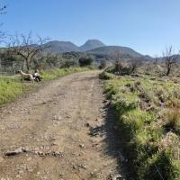12 01 2017 Testwalk Platanovrisi