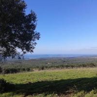 Img 20170112 Wa0005