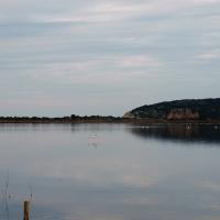 28 01 2017 Gialova Lagoon P1280784