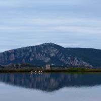 28 01 2017 Gialova Lagoon P1280826