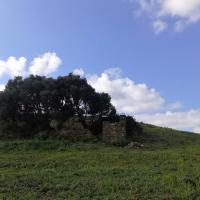 04 02 2017 From Methoni To Finiki 20170204 121736