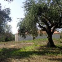 04 02 2017 Walk From Methoni To Finiki Titelbeeld