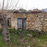 18 02 2017 From Adriani To Paneika