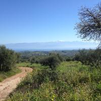 25 03 2017 Walk From Harokopio