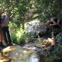 26 04 2017 Walk From Zizani 1