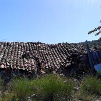 26 04 2017 Walk From Zizani 8