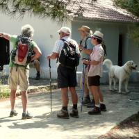 03 05 2017 Walk From Finikounda D