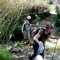 03 05 2017 Walk From Finikounda G