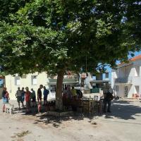Walk From Vlaseika 16