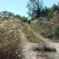 31 05 2017 Walk From Loutsa 2