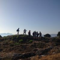 28 06 2017 Early Bird Walk 11