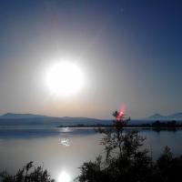 28 06 2017 Early Bird Walk 18