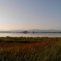 28 06 2017 Early Bird Walk 20