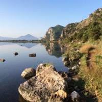 28 06 2017 Early Bird Walk 30