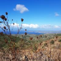 13 09 2017 Circular Walk Yamia