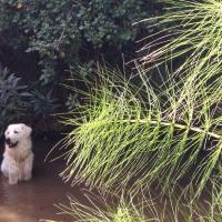 20 09 2017 Walk From Zizani 2