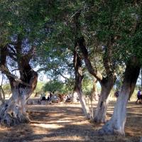 23 09 2017 Walk From Evangelismos 8