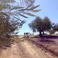 23 09 2017 Walk From Evangelismos