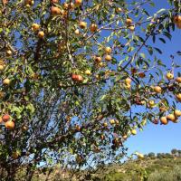 27 09 2017 Walk From Vlaseika