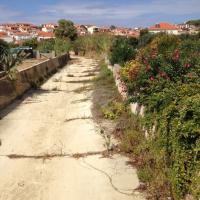 04 10 2017 Walk Near Methoni