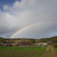 30 12 2017 To Evangelismos And Yiapapi