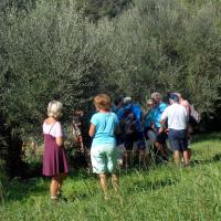 Walk From Finikounda7