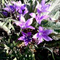 Walk From Finikounda9