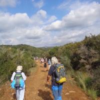 02 11 2016 Kamaria Finiki Chrch Of Profitis Ilias 2