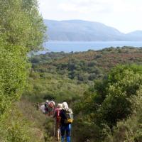02 11 2016 Kamaria Finiki Chrch Of Profitis Ilias 7