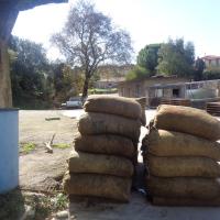 05 11 2016 Yamia Akritohori Kaplani 6