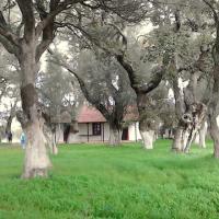 23 11 2016 Circular Walk Evangelismos Ripena 10