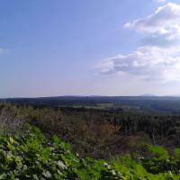 23 11 2016 Circular Walk Evangelismos Ripena 81