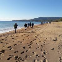 02 01 2019 Koroni Harokopio Jc04