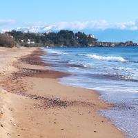 02 01 2019 Koroni Harokopio W08
