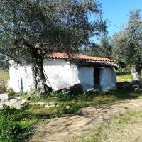 02 01 2019 Koroni Harokopio W12