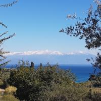 02-01-2019 Koroni - Harokopio