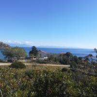 08 01 2019 Tsapi