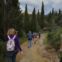 190209 Evangelismos Neroula Big Circle M02