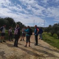 190209 Evangelismos Neroula Big Circle M03