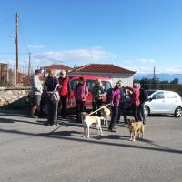 Img 20190216 095526